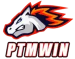 https://ptmwin.pro/